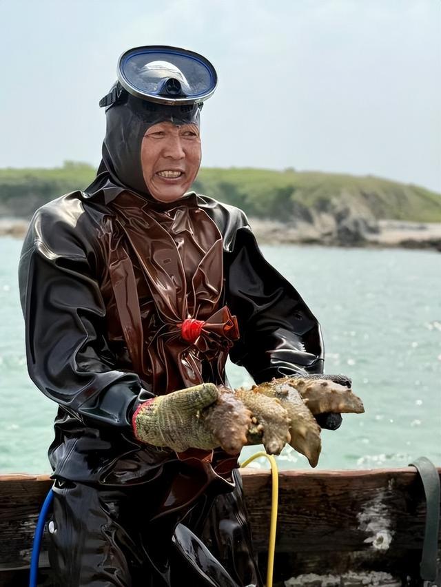 旅媒体走进上品堂见证“有机鲜炖”第一现场ky开元棋牌大连海参“打假”后首启溯源之(图2)