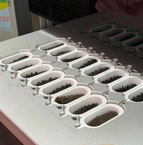 旅媒体走进上品堂见证“有机鲜炖”第一现场ky开元棋牌大连海参“打假”后首启溯源之(图7)