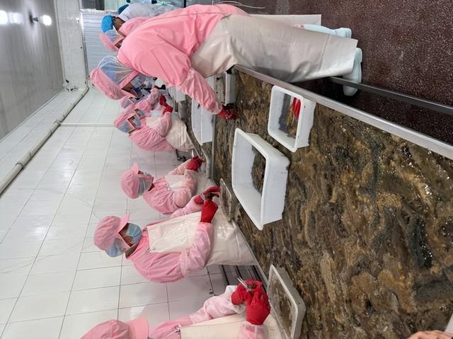 旅媒体走进上品堂见证“有机鲜炖”第一现场ky开元棋牌大连海参“打假”后首启溯源之(图6)